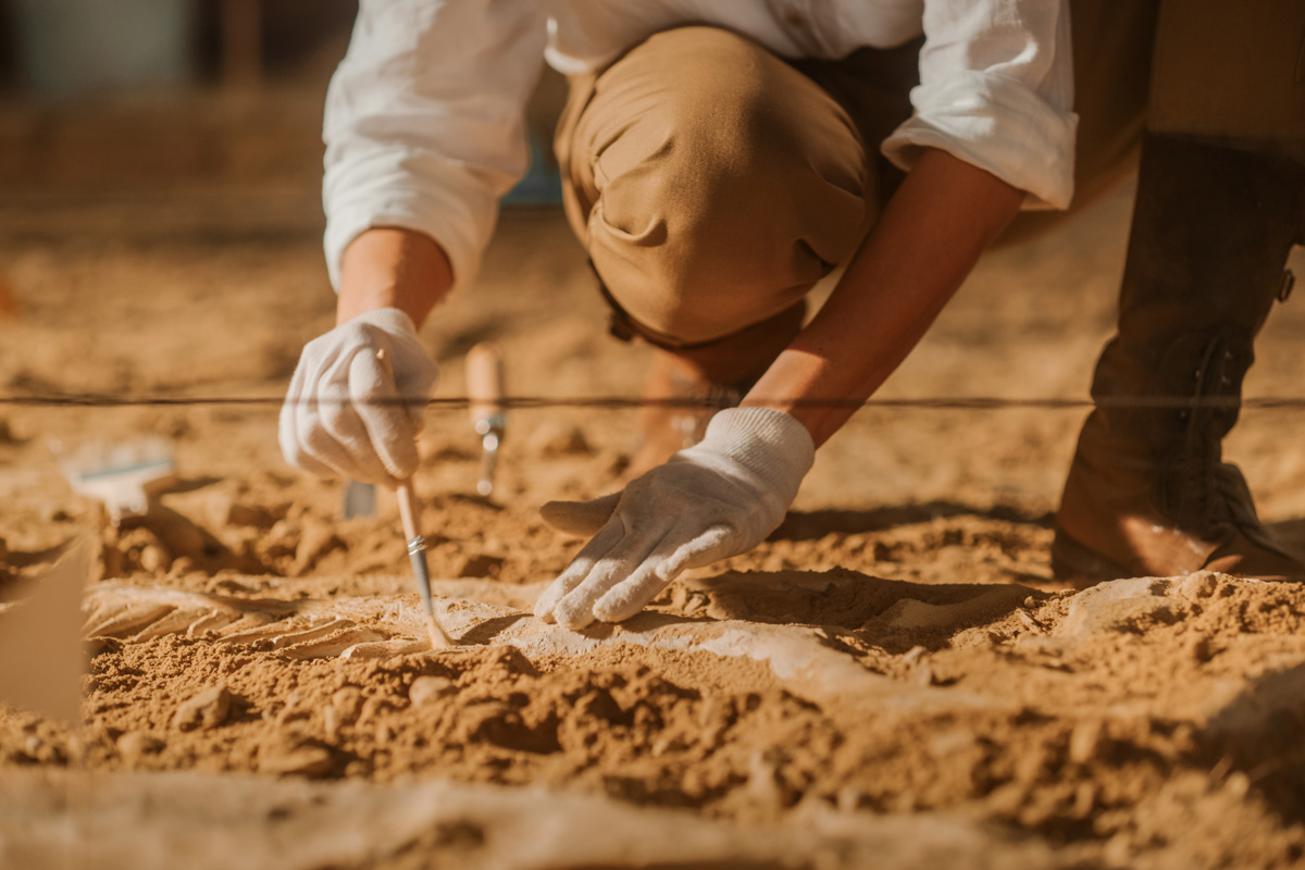 Arqueología - Línea de base - Rescate - Monitoreo